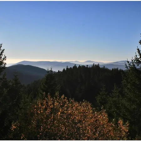 Haus Am Waldrand Triberg im Schwarzwald