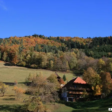 Vakantiehuis Haus Am Waldrand