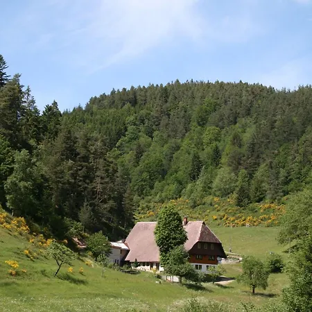 Haus Am Waldrand Triberg im Schwarzwald