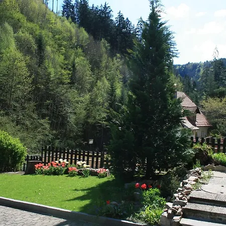 Vakantiehuis Haus Am Waldrand Triberg im Schwarzwald