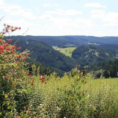 Haus Am Waldrand Ferienhaus Triberg im Schwarzwald